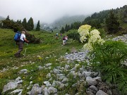 22 Fioriture grandi e piccole...